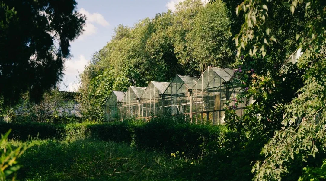 Comment choisir la bonne taille de serre de jardin et éviter le regret avec Les Serres de Jardin.com