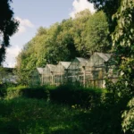 Comment choisir la bonne taille de serre de jardin et éviter le regret avec Les Serres de Jardin.com